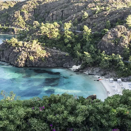 D Maris Bay