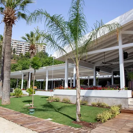 دي ماريس باي