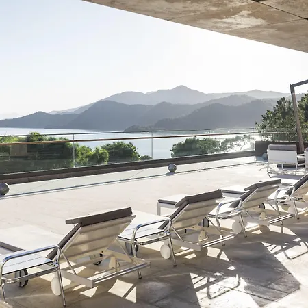 دي ماريس باي