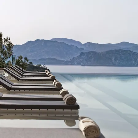 D Maris Bay היסרונו