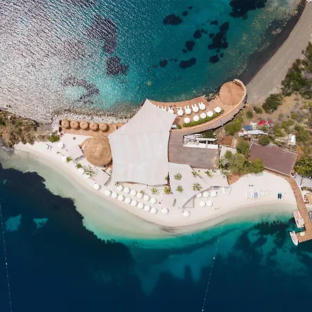 D Maris Bay