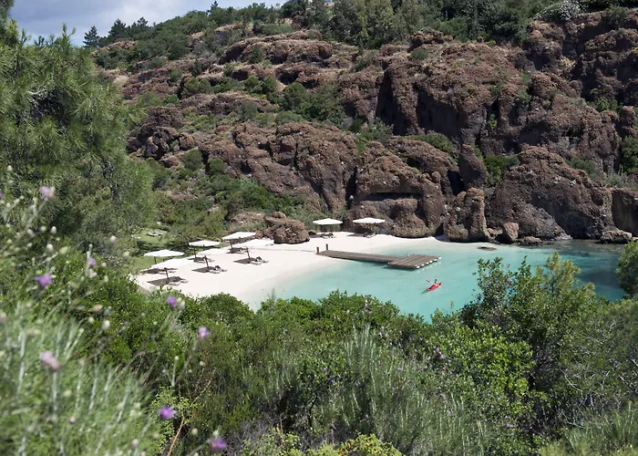 D Maris Bay